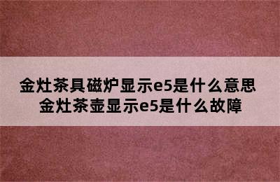 金灶茶具磁炉显示e5是什么意思 金灶茶壶显示e5是什么故障